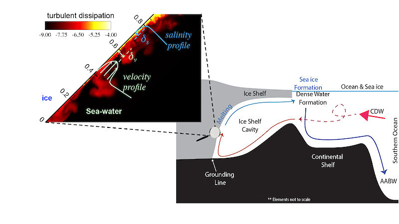 A schematic of the ocean circulation on the Antarctic continental shelf.