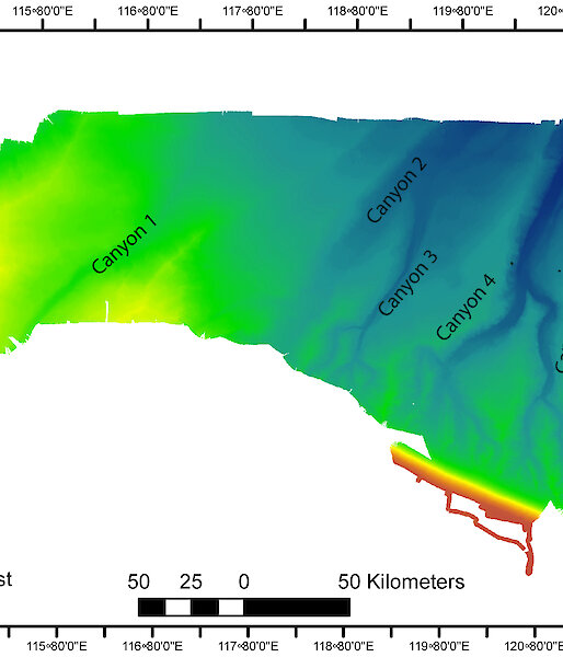 A bathymetric map showing the location and structure of sea floor canyons.