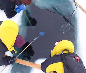 Three expeditioners lying around a hole in the sea ice trying to catch krill with small hand nets.