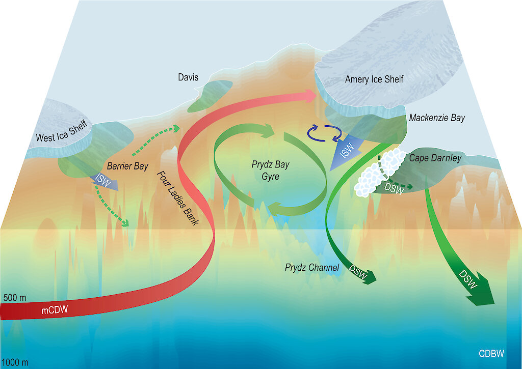 Melting ice shelves reduce critical deep water formation — Australian