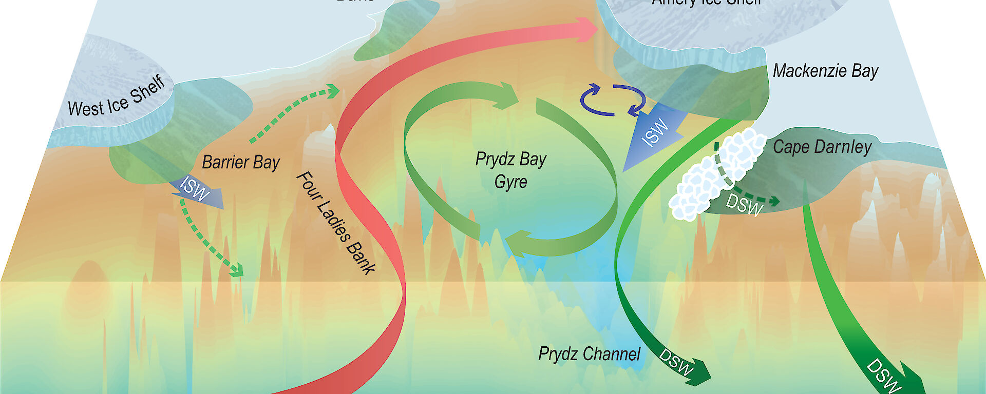 Graphic showing the formation of dense shelf water in Prydz Bay.