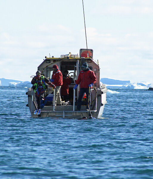 Divers enter the water from a small work boat to conduct an environmental impact assessment in the water near Davis.