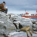 A scientist sits on a rock overlooking a bay writing in his field notebook.