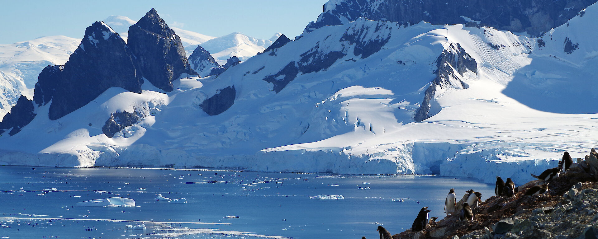 A penguin colony on the Antarctic Peninsula with rocky snow-capped peaks in the background.