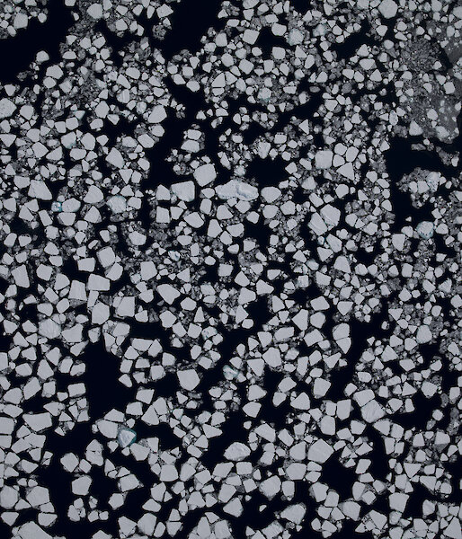An aerial view of sea ice plates forming over the Southern Ocean.
