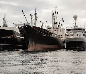 Aker BioMarine’s fleet of krill fishing boats in Antarctica