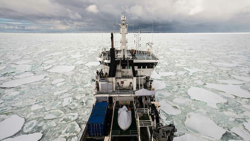 The New Zealand research vessel Tangaroa searching for whales in the Southern Ocean in 2015