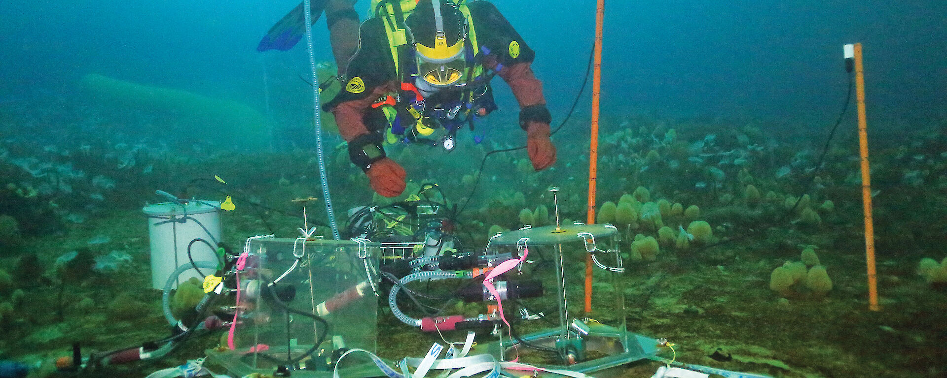 A diver checks a mini-chamber used to conduct short-term ocean acidification experiments over 24–48 hours