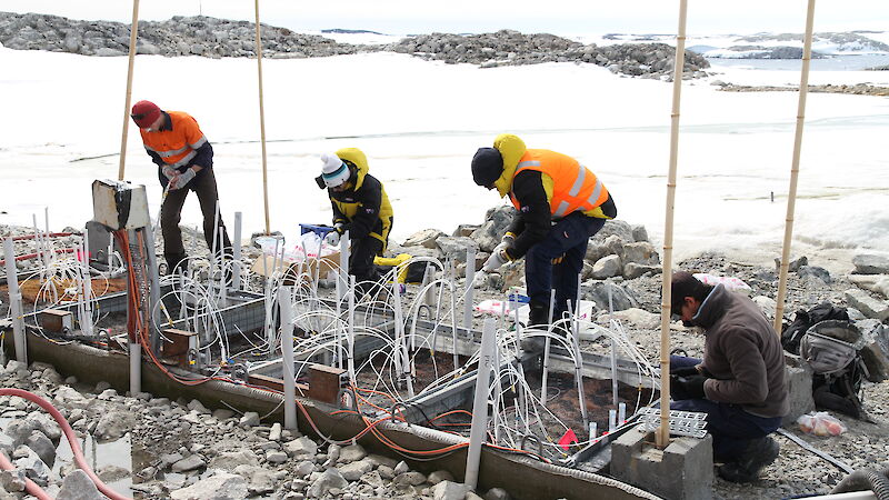 Members of the remediation team take samples from one of the permeable reactive barriers (PRBs) at the site