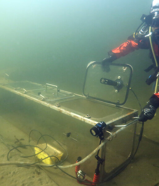 A diver tests one of the chambers in the cold waters of Tasmania before deployment in Antarctica