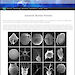 A screen shot of the home page of the Antarctic Marine Protists taxonomic key website. Users can click on the images to launch keys to the relevant taxonomic group. Many of the images were taken in the Australian Antarctic Division’s electron microscopy laboratory. Others are credited and referenced accordingly.