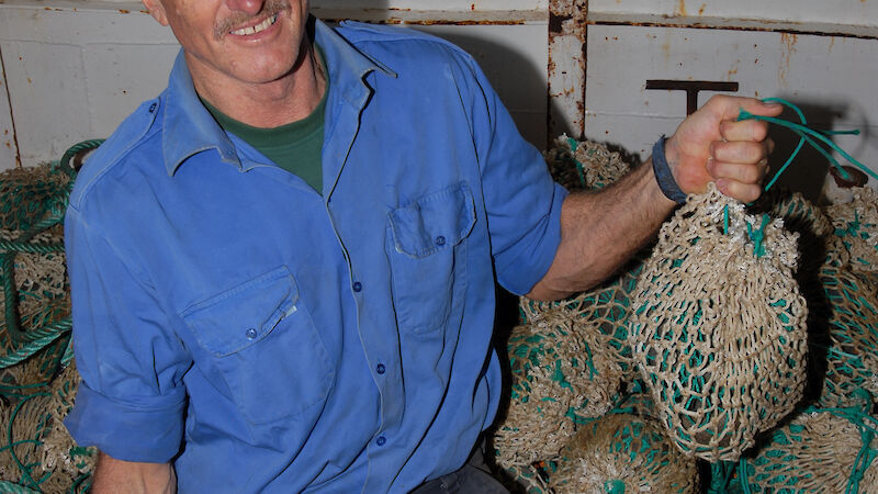 Dr Robertson in 2006 onboard a Spanish rig longliner off southern Argentina