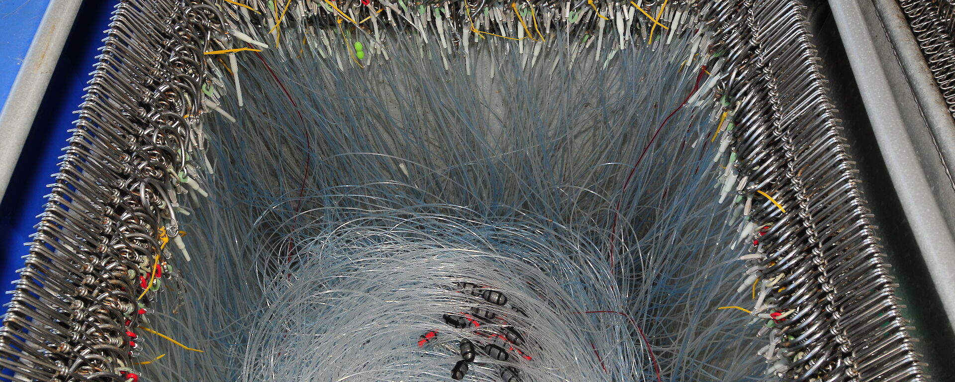 A bin containing longlines running swivel leads, some of which have been placed in view for the photograph.