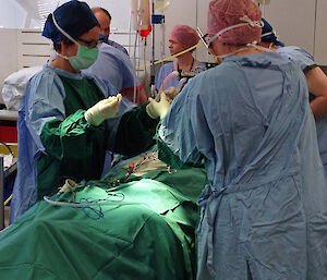 A lay surgical team practice assisting Davis station doctor Jan Wallace (left) during training at the Royal Hobart Hospital.