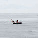 Dr Nick Gales successfully tags a minke whale from the bow of the inflatable rubber boat