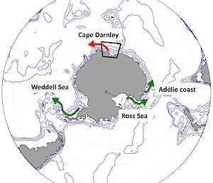This map shows the location of the four known sources of Antarctic Bottom Water and the direction of travel of that water