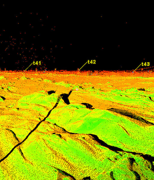 A combination of laser scans made by Dr Ernesto Trujillo-Gomez