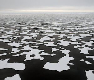 Melt water ponds across Arctic sea ice