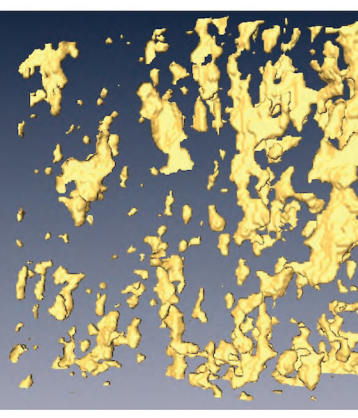 X-ray computed tomography images of brine pockets in the sea ice