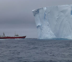 The New Zealand trawler, Amaltal Explorer, is dwarfed by an iceberg
