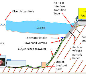 Graphic depicting components of the Free Ocean CO2 Enrichment (FOCE) experiment