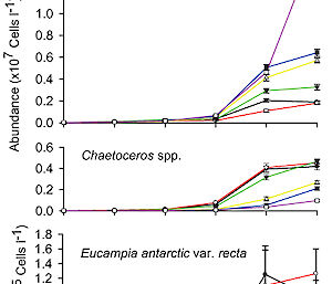 Graph detailing changes in the abundance of some phytoplankton species over 10 days exposure to different CO2 concentrations