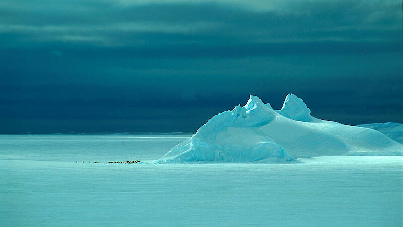 Continental ice and penguins.