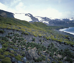 Stephenson Moraine, 1987.