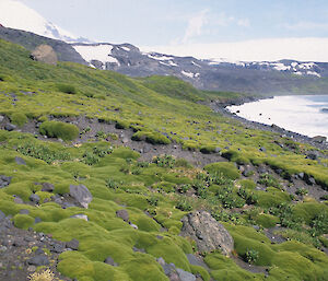 Stephenson Moraine, 2004