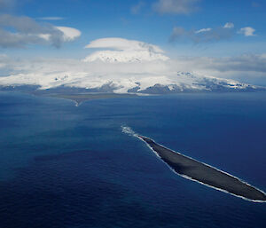 The sea has, for the moment, claimed a large part of what was previously Elephant Spit, resulting in a new island to the east of Heard Island.