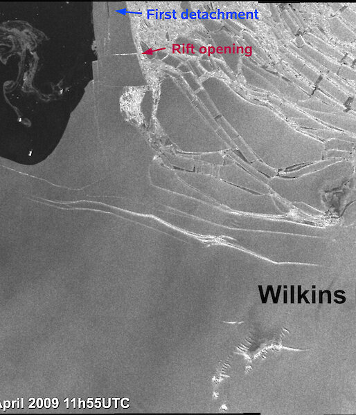 Satellite image showing iceberg’s first detachment along the new rifts