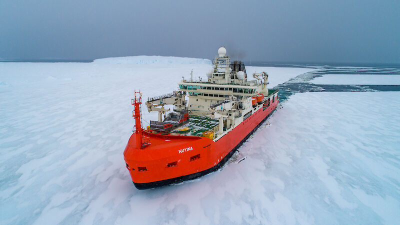 An aerial drone photo of an orange and white ship breaking through sea ice. There is a long channel of water behind the ship where it has broken a path through the white expanse of the ice.