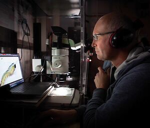 A scientist looks at an image of a krill on a computer screen. There is a microscope on the bench next to him.