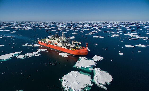 An orange and white ship sails through the ocean, surrounded by floating chunks of ice. The sky is clear and blue.