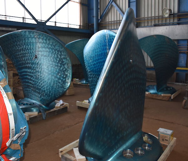The blades of the ship’s propellers covered in a blue protective coating