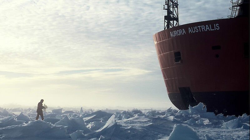 Expeditioner walking in the rafted sea ice near the ship