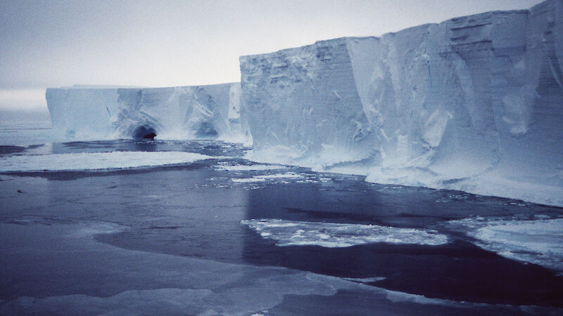 The sheer cliff of ice forms part of the glacier named after Dr Xavier Mertz, Mawson’s companion on his Far Eastern sledging journey 1912.