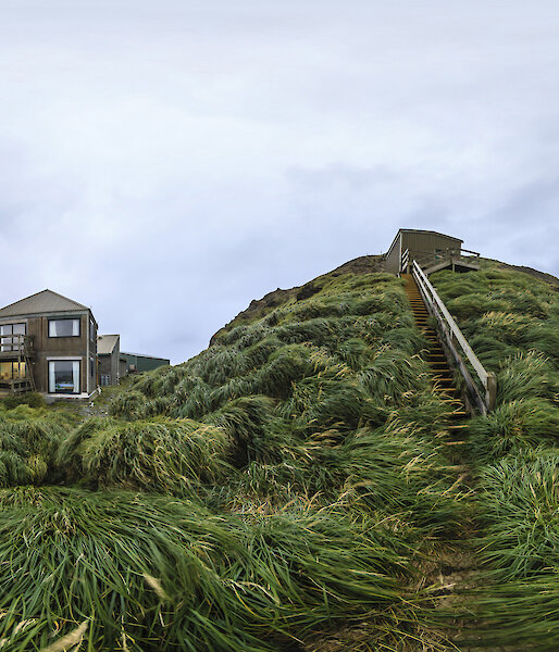 360 degree view to seismic hut lookout on Macquarie Island.