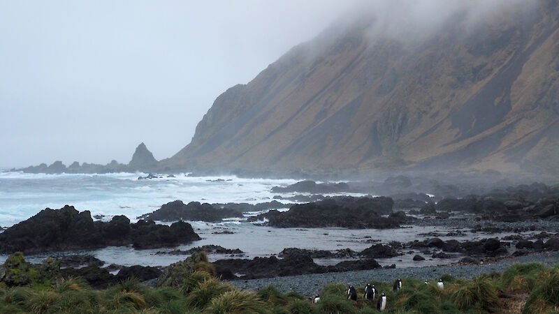 Coastline with plateau rising up form the beach