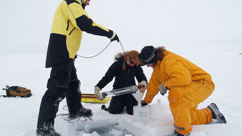 Scientists collecting water samples from under the sea ice.