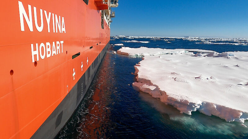 View along the side of a ship as it sails through floating ice. Words on the side of the ship read, Nuyina Hobart