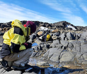 Scientist writing notes while kneeling on rocks