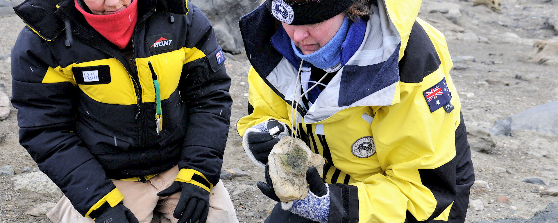 Two scientists looking at quartz rock with algae on the underside