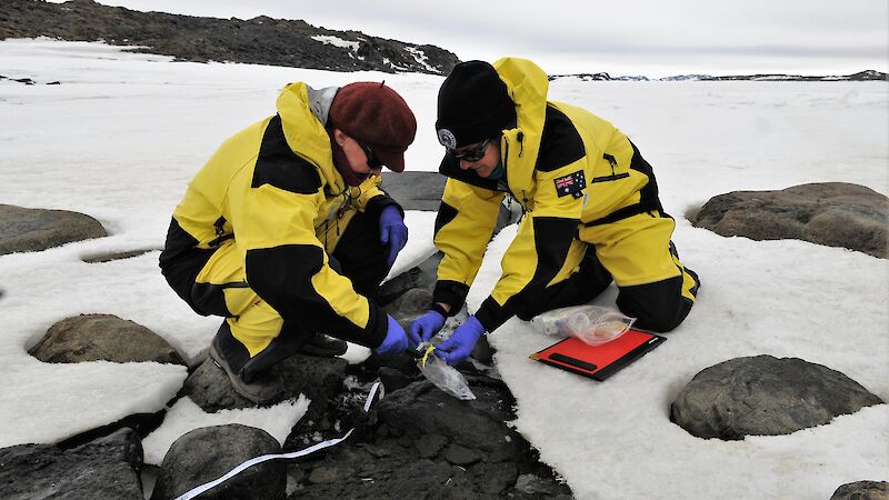 Dr Kathryn Brown (left) and Dr Catherine King collect soil samples amongst ice and rocks in Antarctica.