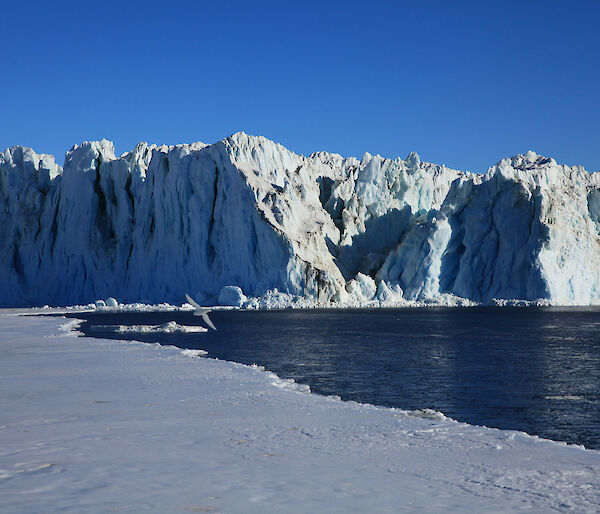 The edge of a glacier in the Southern Ocean.