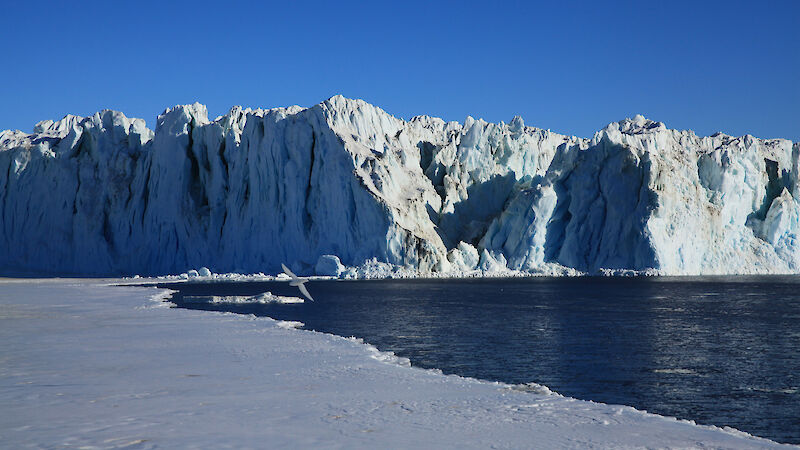 The edge of a glacier in the Southern Ocean.