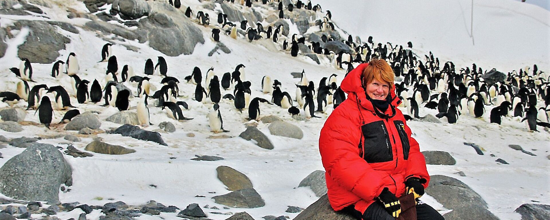 Artist sitting on rocks with Adélie penguins in background