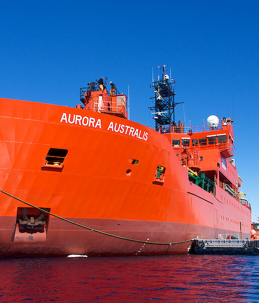 Aurora Australis in the Southern Ocean
