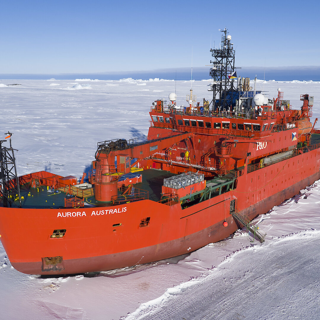 antarctic cruise from hobart