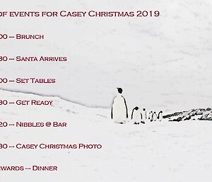 An order of events for Christmas Day at Casey